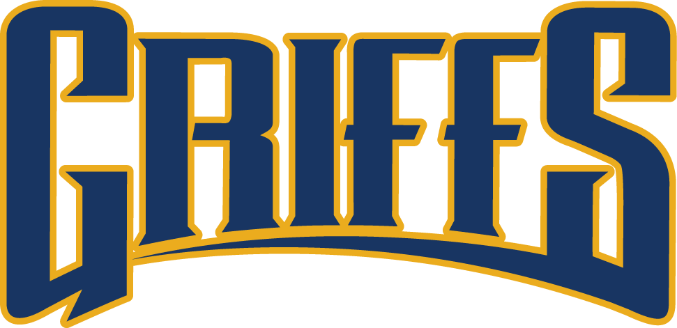 Canisius Golden Griffins 2006-Pres Wordmark Logo v2 diy iron on heat transfer